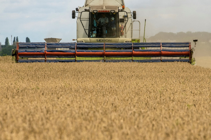Wheat harvesting in Kyiv region
