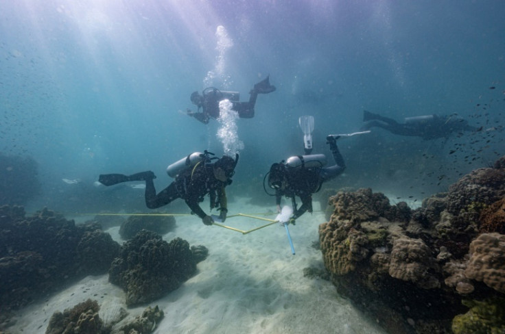 arine biologists and volunteers from Thailand's Department of Marine and Coastal Resources survey an outbreak of yellow-band disease