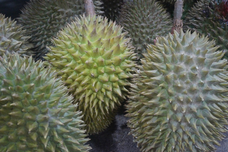 Durian fruit