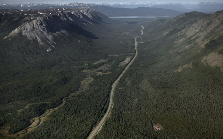 File photo of boreal forest just south of Whitehorse in the Yukon