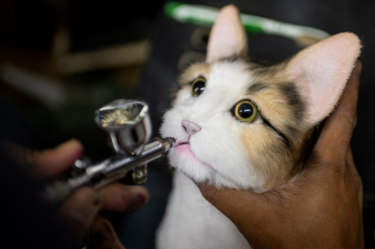 Workers make realistic pet plushies at the Pampanga Teddy Bear Factory, in Angeles City