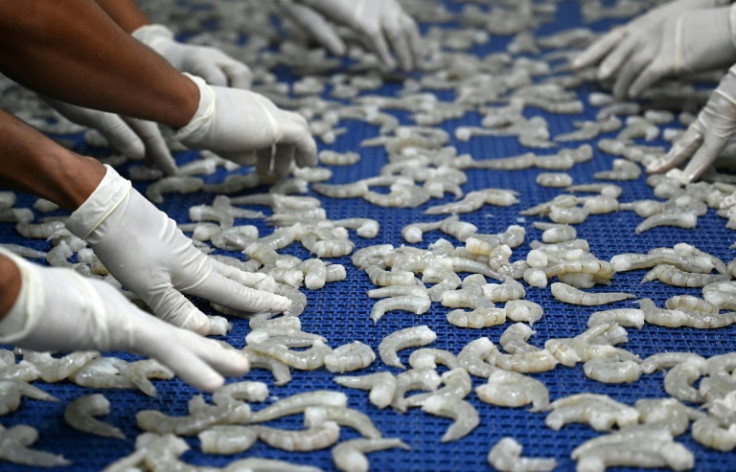 Shrimp employees in Choluteca, Honduras, taking part in the freezing process of the product ahead of its export
