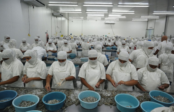 Employees peel shrimp and prepare it for export at a factory in Choluteca, Honduras