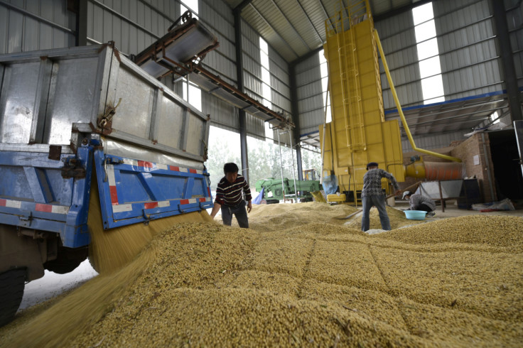 Workers are seen next to a truck unloading harvested soybeans at a farm in Chiping
