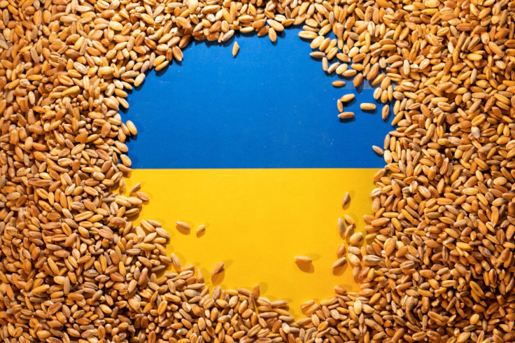 Illustration shows Ukrainian flag and grain