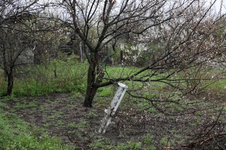 The remains of a Uragan rocket in the ground of family doctor Alla Trubacheva's garden