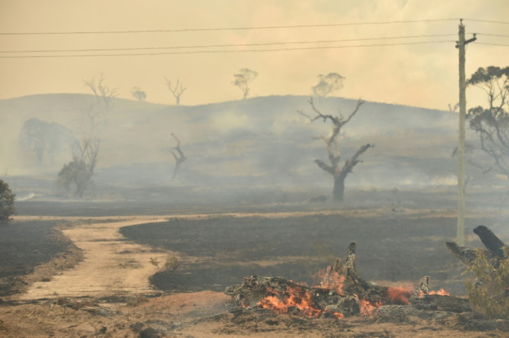 The research found the Australian bushfires of 2019 and 2020 pumped out emissions on a scale similar to major volcanic eruptions